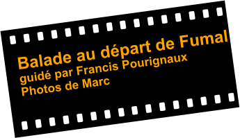 Balade au départ de Fumal guidé par Francis Pourignaux Photos de Marc